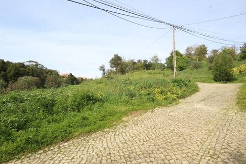 Helårsgrund i Sintra, Lisbon, Sintra - € 1.000.000 | Ref: 24-E.FAV-0037 - foto 12