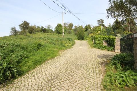 Helårsgrund i Sintra, Lisbon, Sintra - € 1.000.000 | Ref: 24-E.FAV-0037 - foto 13