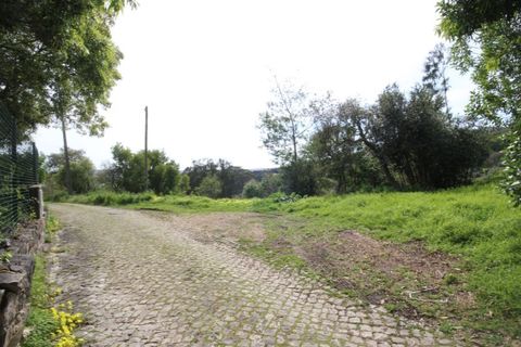 Helårsgrund i Sintra, Lisbon, Sintra - € 1.000.000 | Ref: 24-E.FAV-0037 - foto 16