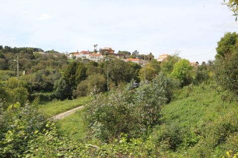 Helårsgrund i Sintra, Lisbon, Sintra - € 1.000.000 | Ref: 24-E.FAV-0037 - foto 19