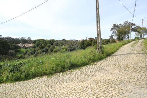 Helårsgrund i Sintra, Lisbon, Sintra - € 1.000.000 | Ref: 24-E.FAV-0037 - foto 21