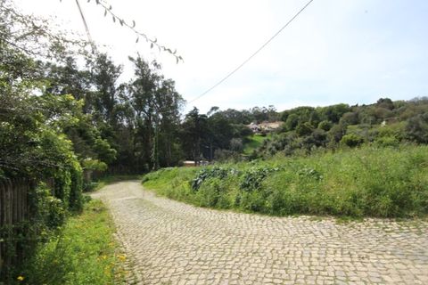 Helårsgrund i Sintra, Lisbon, Sintra - € 1.000.000 | Ref: 24-E.FAV-0037 - foto 22
