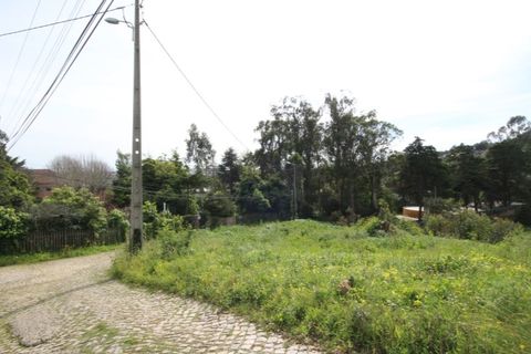 Helårsgrund i Sintra, Lisbon, Sintra - € 1.000.000 | Ref: 24-E.FAV-0037 - foto 23