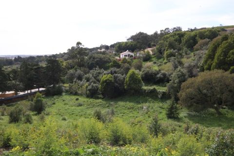 Helårsgrund i Sintra, Lisbon, Sintra - € 1.000.000 | Ref: 24-E.FAV-0037 - foto 24