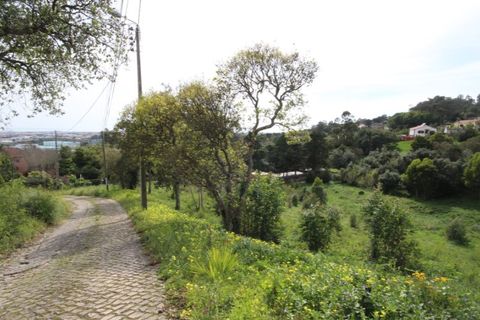 Helårsgrund i Sintra, Lisbon, Sintra - € 1.000.000 | Ref: 24-E.FAV-0037 - foto 25