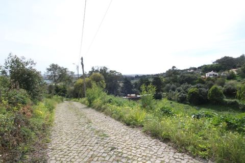 Helårsgrund i Sintra, Lisbon, Sintra - € 1.000.000 | Ref: 24-E.FAV-0037 - foto 26