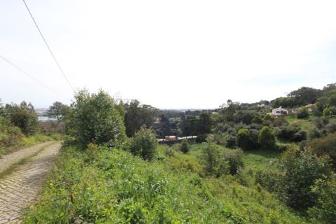 Helårsgrund i Sintra, Lisbon, Sintra - € 1.000.000 | Ref: 24-E.FAV-0037 - foto 28