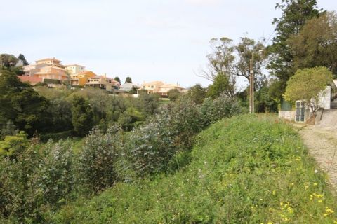 Helårsgrund i Sintra, Lisbon, Sintra - € 1.000.000 | Ref: 24-E.FAV-0037 - foto 29
