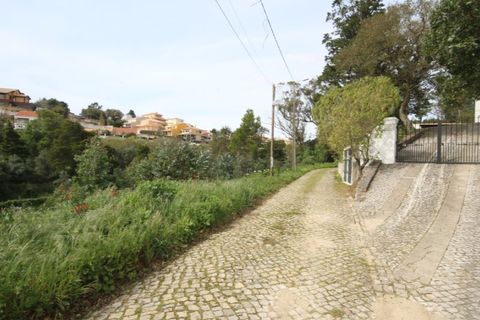 Helårsgrund i Sintra, Lisbon, Sintra - € 1.000.000 | Ref: 24-E.FAV-0037 - foto 31