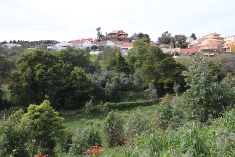 Helårsgrund i Sintra, Lisbon, Sintra - € 1.000.000 | Ref: 24-E.FAV-0037 - foto 32