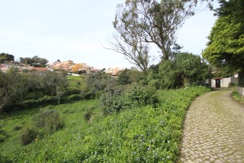 Helårsgrund i Sintra, Lisbon, Sintra - € 1.000.000 | Ref: 24-E.FAV-0037 - foto 33