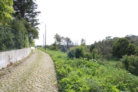 Helårsgrund i Sintra, Lisbon, Sintra - € 1.000.000 | Ref: 24-E.FAV-0037 - foto 34