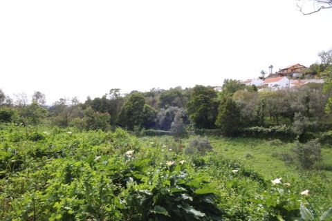 Helårsgrund i Sintra, Lisbon, Sintra - € 1.000.000 | Ref: 24-E.FAV-0037 - foto 35