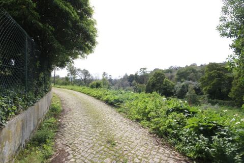 Helårsgrund i Sintra, Lisbon, Sintra - € 1.000.000 | Ref: 24-E.FAV-0037 - foto 36