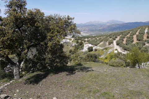 Tomt i Fuente Del Conde, Cordoba - bilde 1