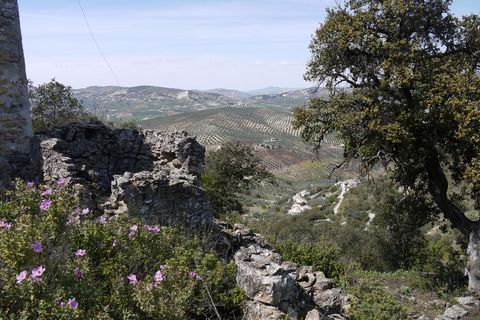Tomt i Fuente Del Conde, Cordoba - bilde 2