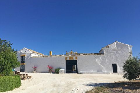Maatalo Moron De La Fronterassa, Sevilla - kuva 1