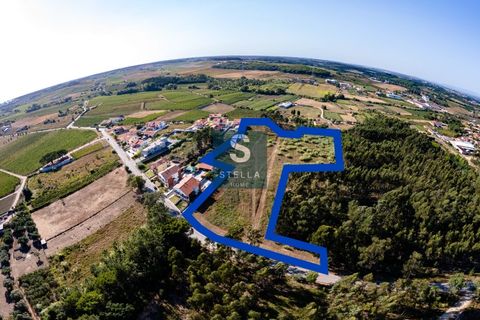 Helårsgrund i Anadia, Aveiro, Anadia - € 385.000 | Ref: SH0025-2024 - foto 1