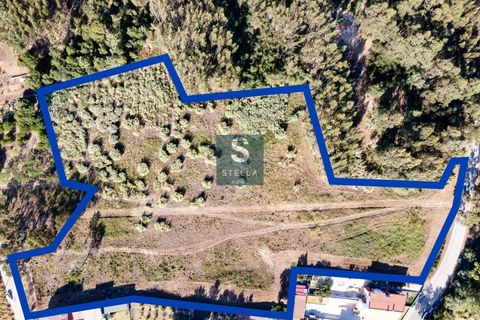 Helårsgrund i Anadia, Aveiro, Anadia - € 385.000 | Ref: SH0025-2024 - foto 2