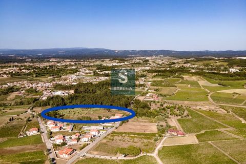 Helårsgrund i Anadia, Aveiro, Anadia - € 385.000 | Ref: SH0025-2024 - foto 3