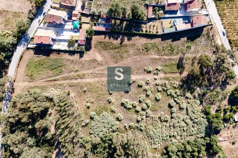 Helårsgrund i Anadia, Aveiro, Anadia - € 385.000 | Ref: SH0025-2024 - foto 4