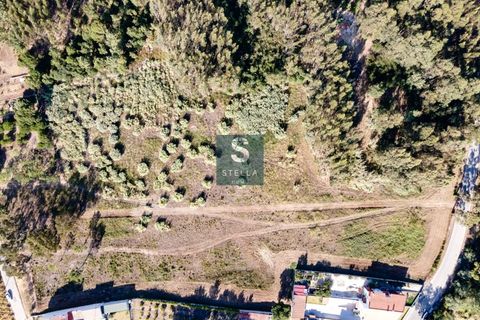 Helårsgrund i Anadia, Aveiro, Anadia - € 385.000 | Ref: SH0025-2024 - foto 5