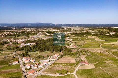 Helårsgrund i Anadia, Aveiro, Anadia - € 385.000 | Ref: SH0025-2024 - foto 7