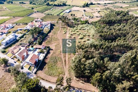 Helårsgrund i Anadia, Aveiro, Anadia - € 385.000 | Ref: SH0025-2024 - foto 8