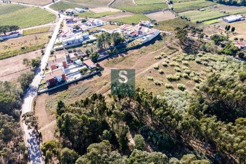 Helårsgrund i Anadia, Aveiro, Anadia - € 385.000 | Ref: SH0025-2024 - foto 9
