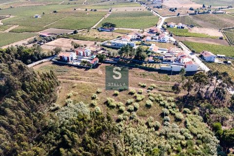 Helårsgrund i Anadia, Aveiro, Anadia - € 385.000 | Ref: SH0025-2024 - foto 10