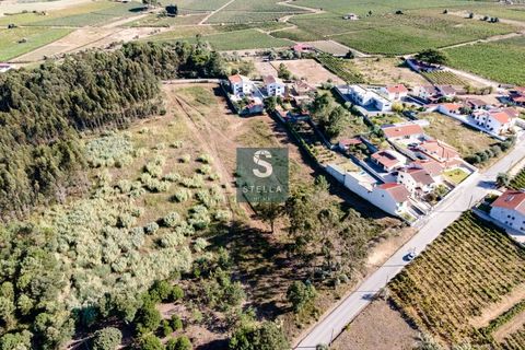 Helårsgrund i Anadia, Aveiro, Anadia - € 385.000 | Ref: SH0025-2024 - foto 11