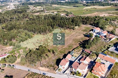 Helårsgrund i Anadia, Aveiro, Anadia - € 385.000 | Ref: SH0025-2024 - foto 12
