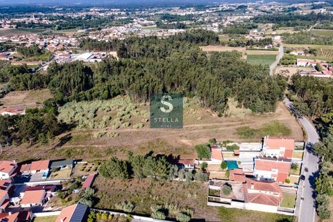 Helårsgrund i Anadia, Aveiro, Anadia - € 385.000 | Ref: SH0025-2024 - foto 13