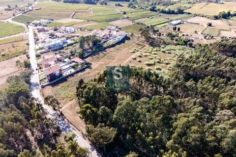 Helårsgrund i Anadia, Aveiro, Anadia - € 385.000 | Ref: SH0025-2024 - foto 14