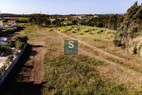 Helårsgrund i Anadia, Aveiro, Anadia - € 385.000 | Ref: SH0025-2024 - foto 15