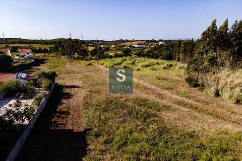 Helårsgrund i Anadia, Aveiro, Anadia - € 385.000 | Ref: SH0025-2024 - foto 16