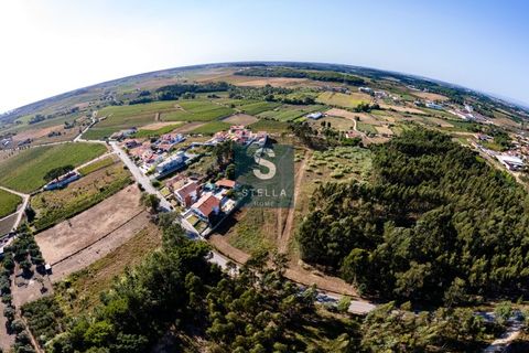 Helårsgrund i Anadia, Aveiro, Anadia - € 385.000 | Ref: SH0025-2024 - foto 17