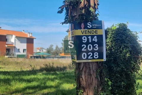 Helårsgrund i Anadia, Aveiro, Anadia - € 385.000 | Ref: SH0025-2024 - foto 19