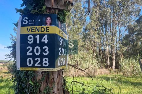 Helårsgrund i Anadia, Aveiro, Anadia - € 385.000 | Ref: SH0025-2024 - foto 21