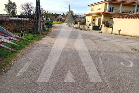 Grond in Anadia, Aveiro, Anadia - € 35.000 | Ref: 1051160/24 OB - foto 7