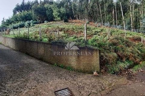 Terra a Camacha, Madeira, Camacha - € 120.000 | Ref: 137 - foto 2