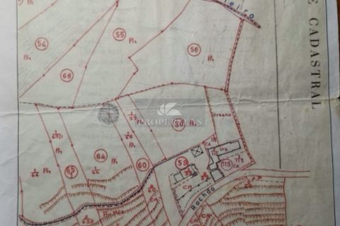 Terra a Camacha, Madeira, Camacha - € 120.000 | Ref: 137 - foto 3