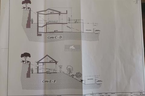 Terra a Camacha, Madeira, Camacha - € 120.000 | Ref: 137 - foto 6