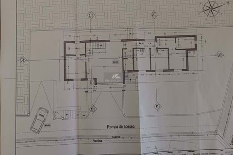 Terra a Camacha, Madeira, Camacha - € 120.000 | Ref: 137 - foto 11