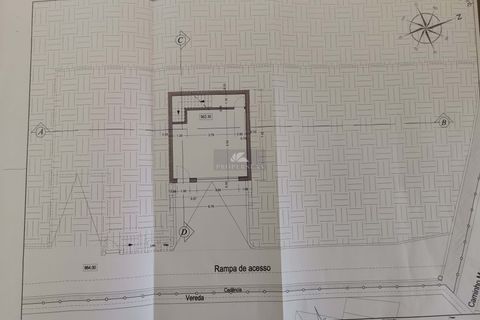 Terra a Camacha, Madeira, Camacha - € 120.000 | Ref: 137 - foto 14