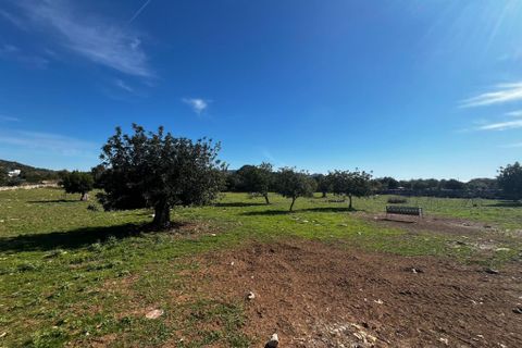 Cortijo i Son Servera, Mallorca, Son Servera - € 643 000 | Ref: 2072T - foto 2