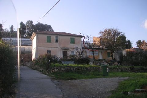 Tomt i Sanremo, Imperia, Sanremo - € 370 000 | Ref: AG-DOM PA25 - foto 3