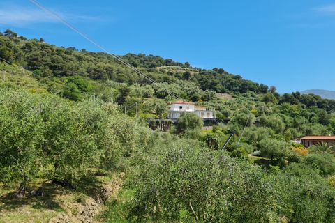Villa i Vallebona, Imperia, Vallebona - € 540.000 | Ref: AG-DOM F143 - foto 9
