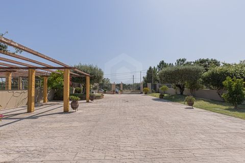 Villa i Quinta do Anjo, Setubal, Quinta do Anjo - € 895.000 | Ref: PH2821 - foto 41
