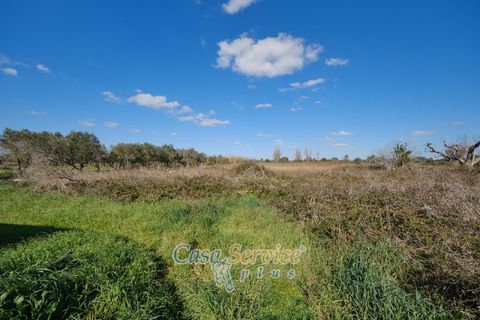 Landejendom i Alezio, Lecce, Alezio - € 80.000 | Ref: ALIL-RP-80 - foto 14